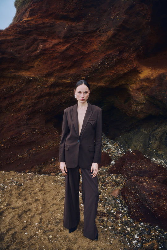CMTAILOR - HIGH-WAISTED WIDE-LEG PANTS IN BROWN
