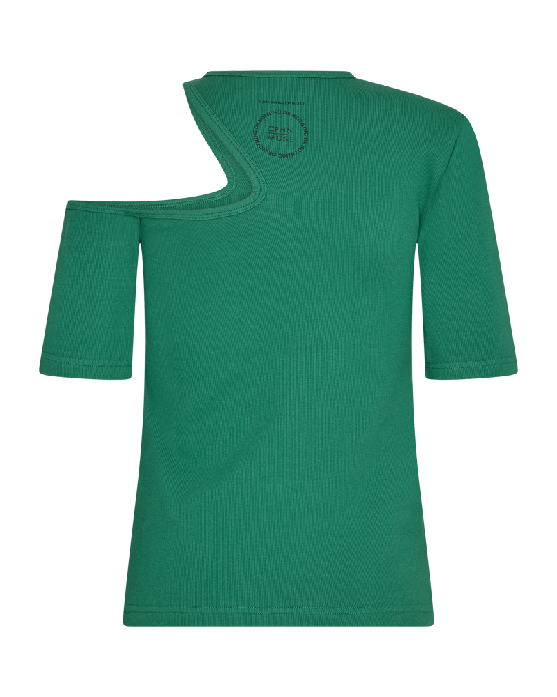 CMSIV - Top in groen