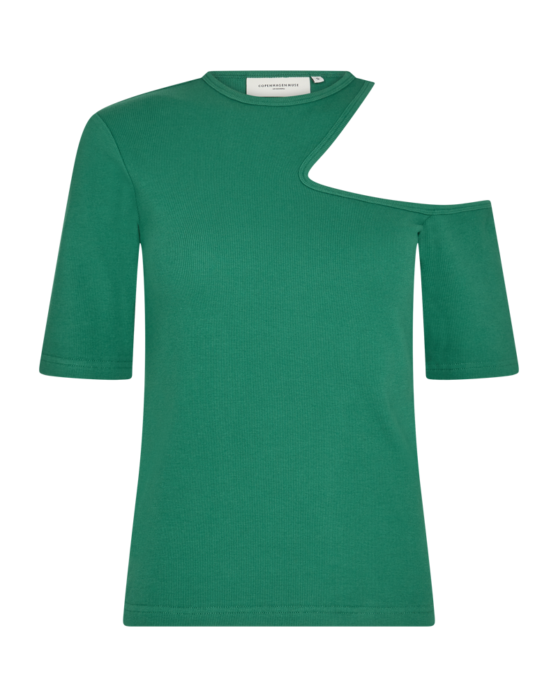CMSIV - Top in groen