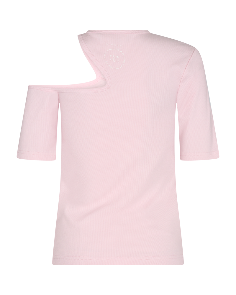 CMSIV - TOP IN ROSE